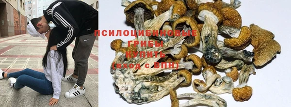 МДПВ Куйбышев