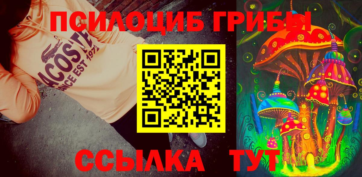 Орск  Псилоцибиновые грибы мухоморы  Вход с VPN  Галлюциногенные грибы Psilocybe 